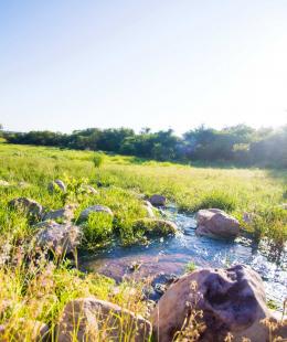 Explore | Botswana Tourism Organisation