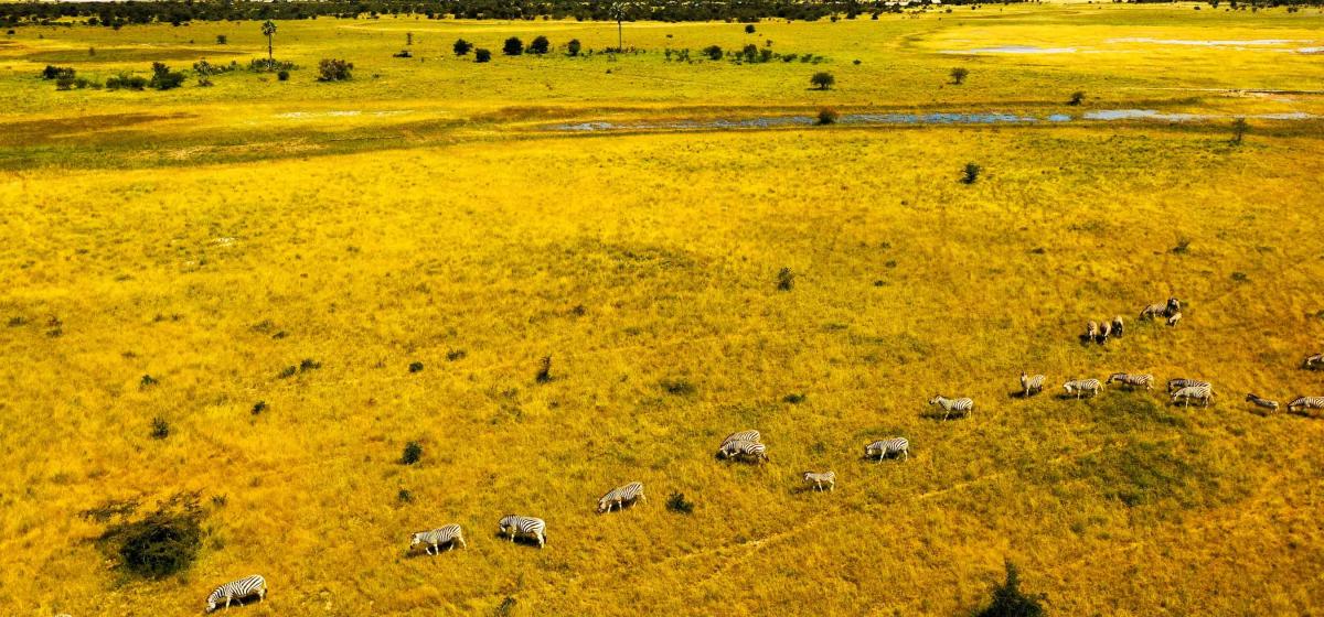 Climate Botswana Tourism Organisation